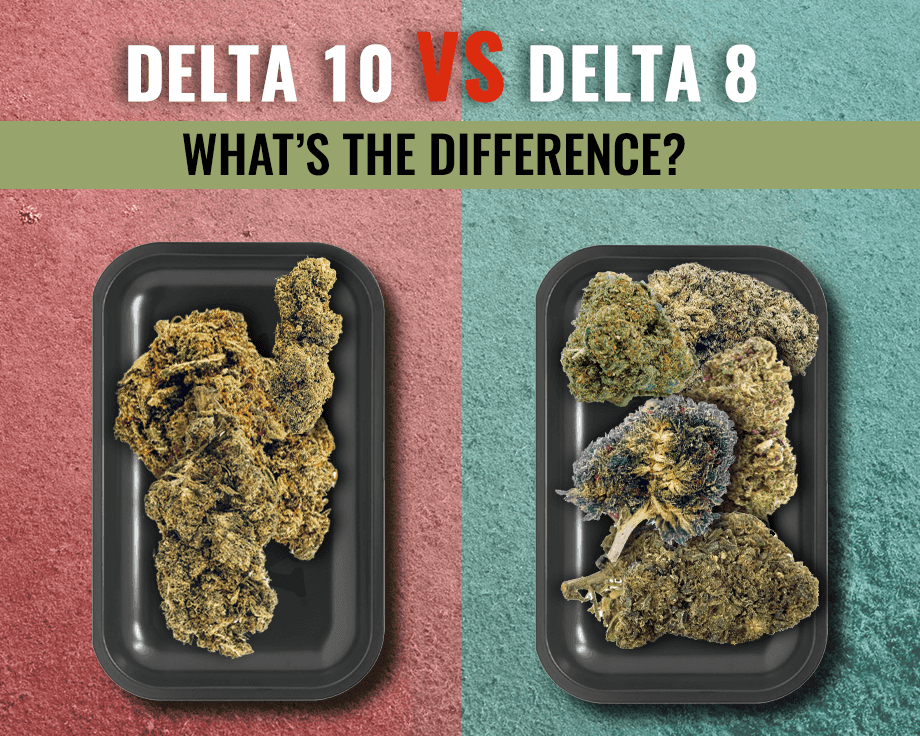 Delta 10 Vs Delta-8: What's The Difference