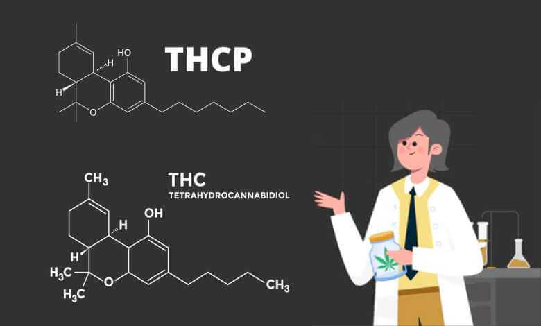 THCP vs THC: What's the Difference