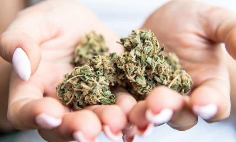 ATLRx Hemp Flowers in Hand