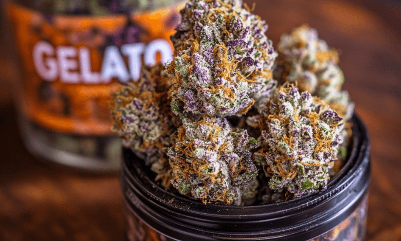 Gelato Strain