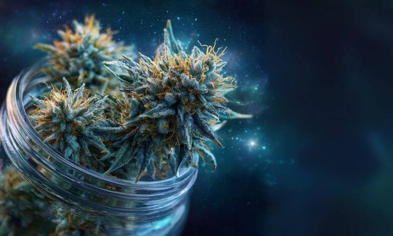 Skywalker Strain