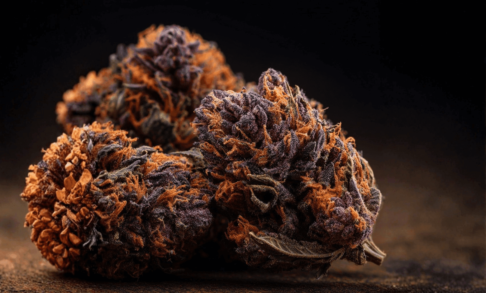 Purple Haze strain