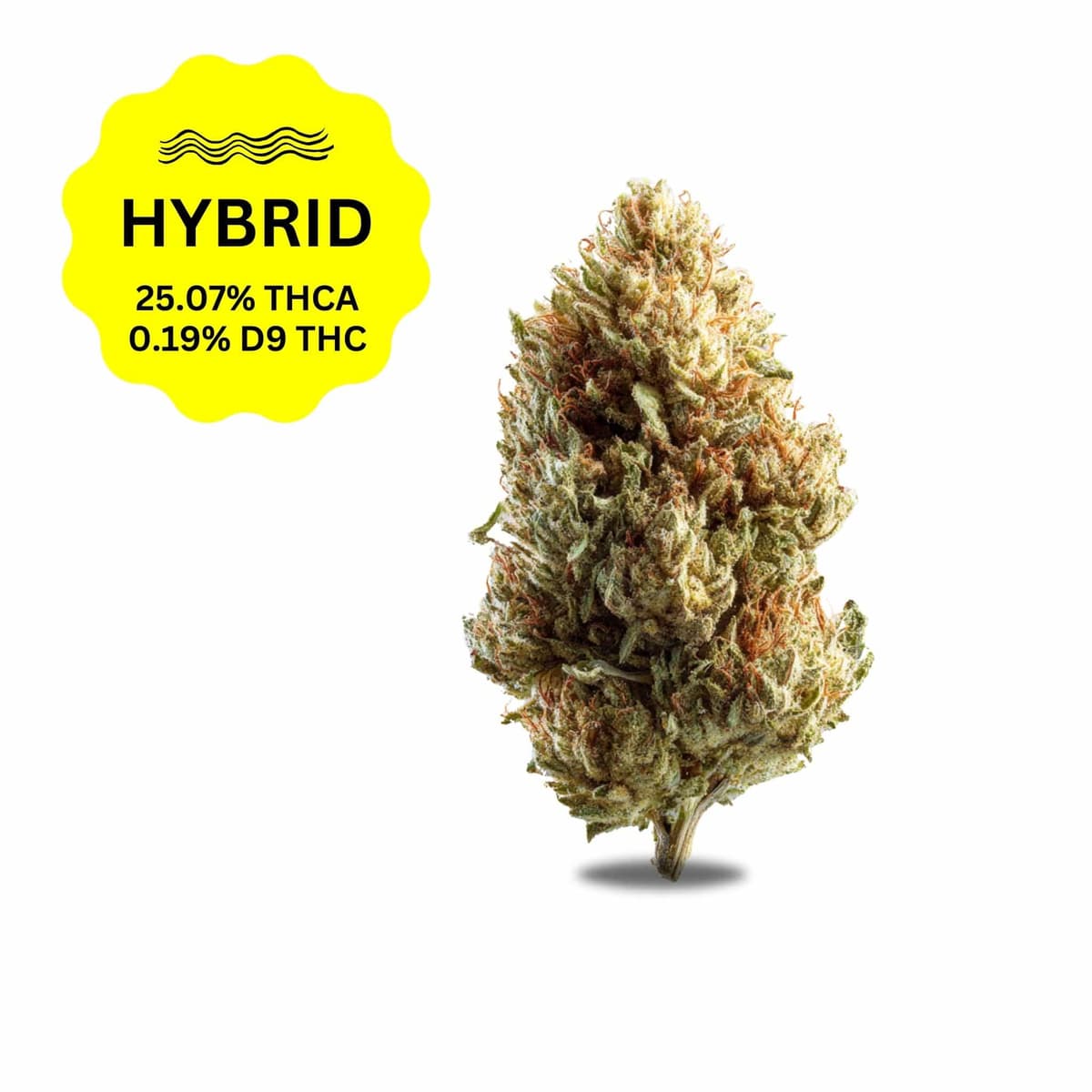 Cream Smoothie THCa Flower (Smalls)