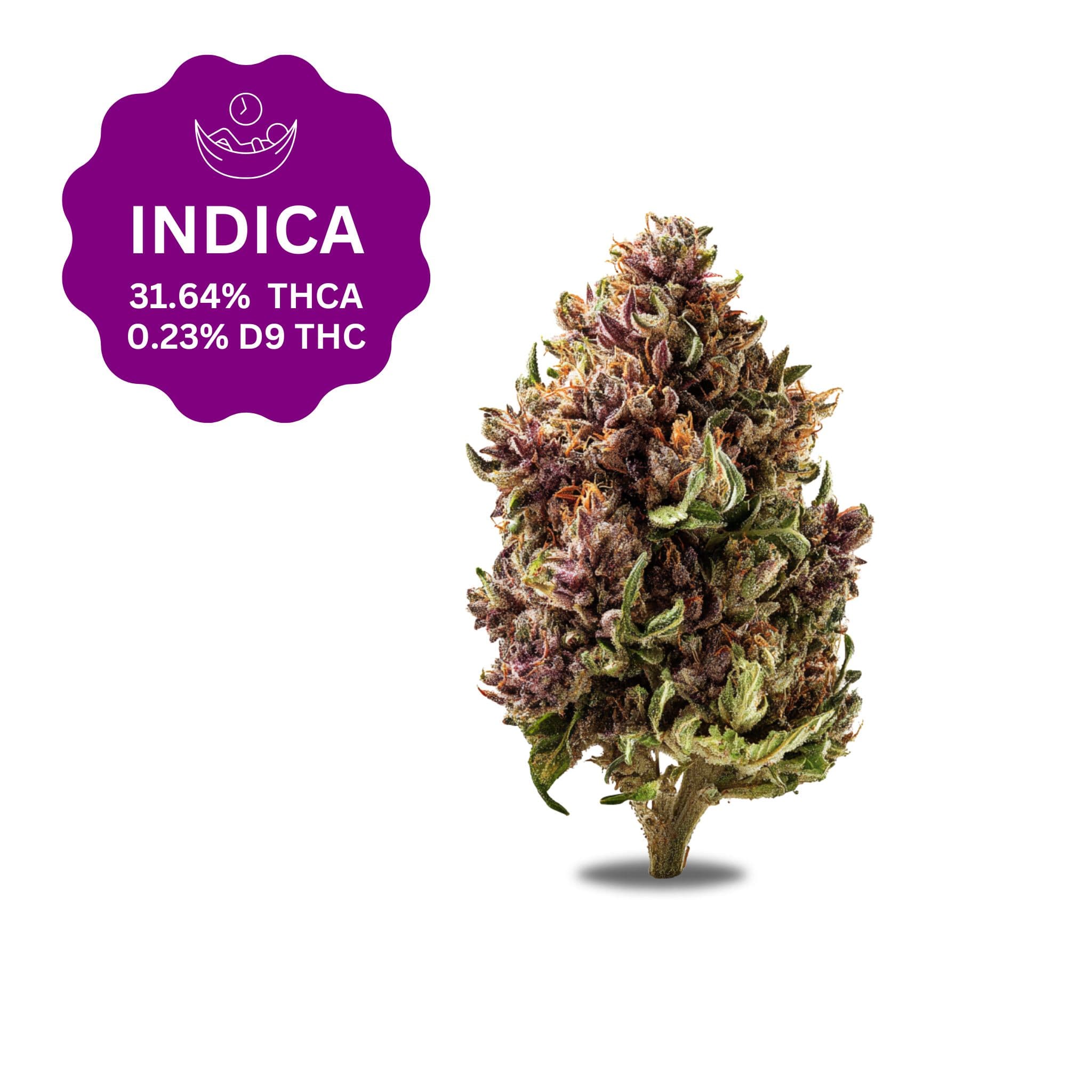 Trapzilla THCa Flower