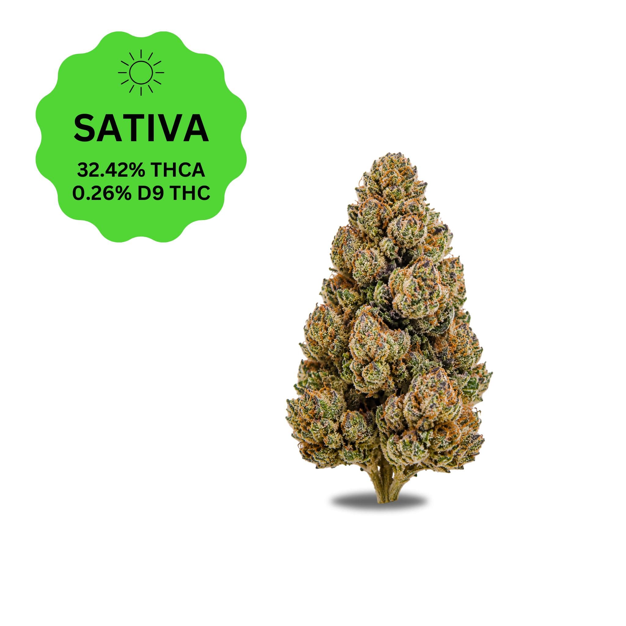 Jack Herer THCA Flower