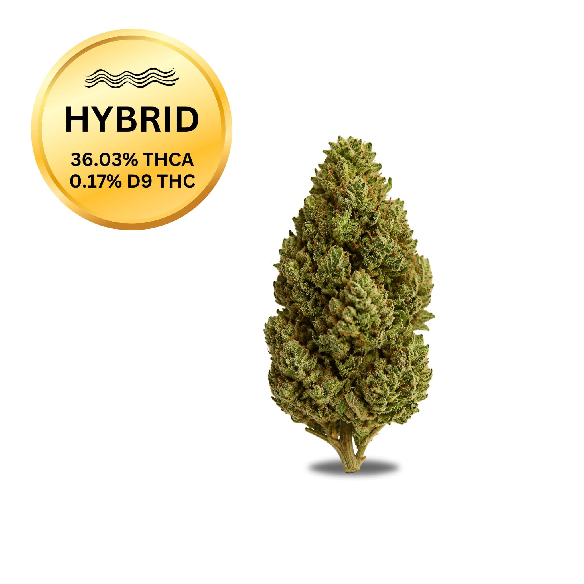 ATLRx Pipe Dream THCa Flower