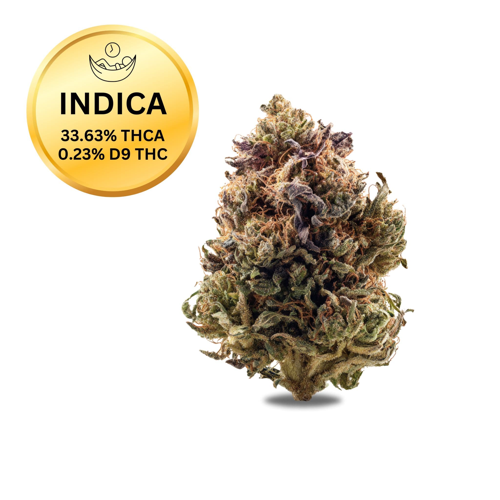 GMOxG41 THCa Flower