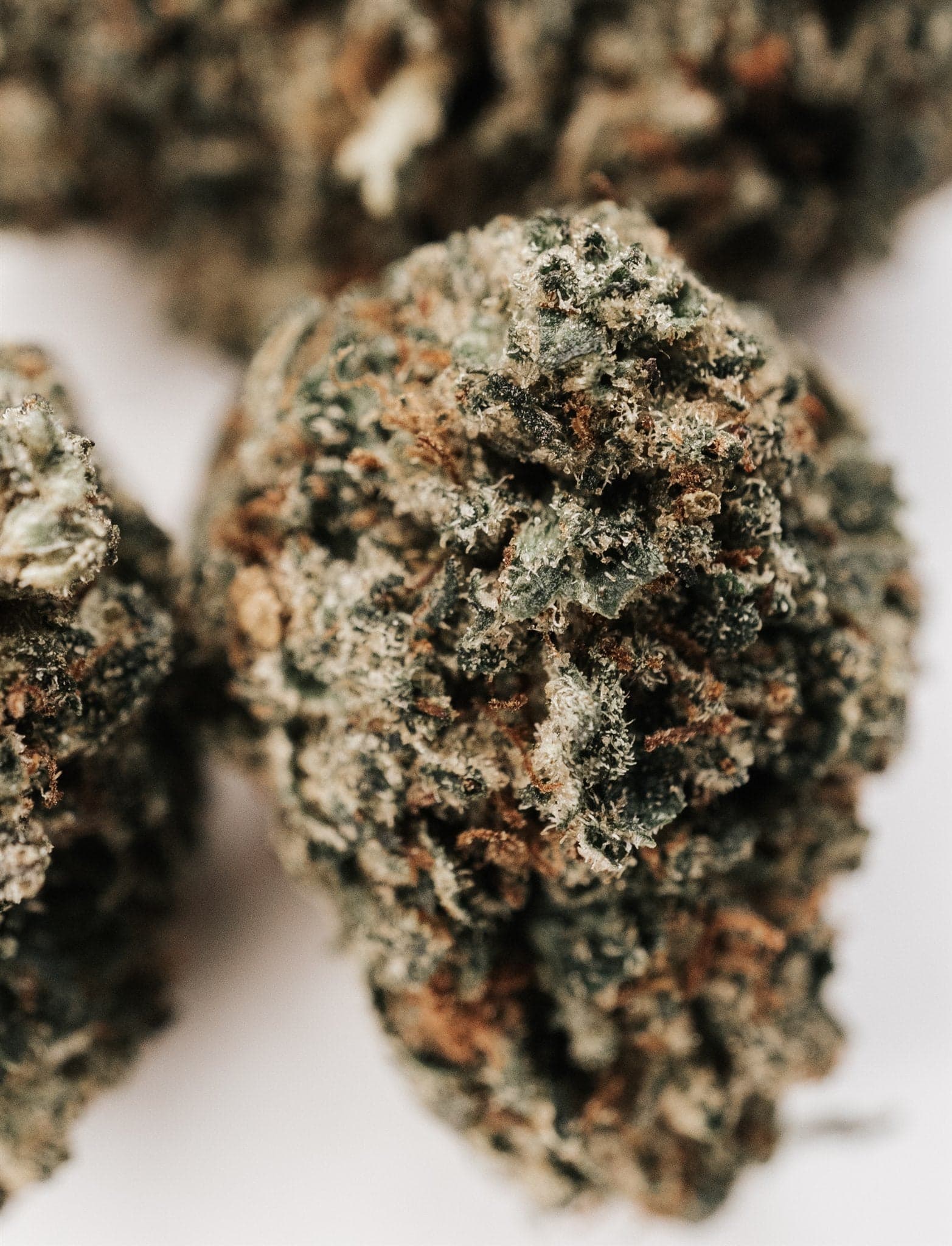 ATLRx Hemp Flower Bud