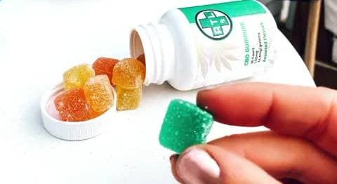 Cannabis Gummies in a Hand