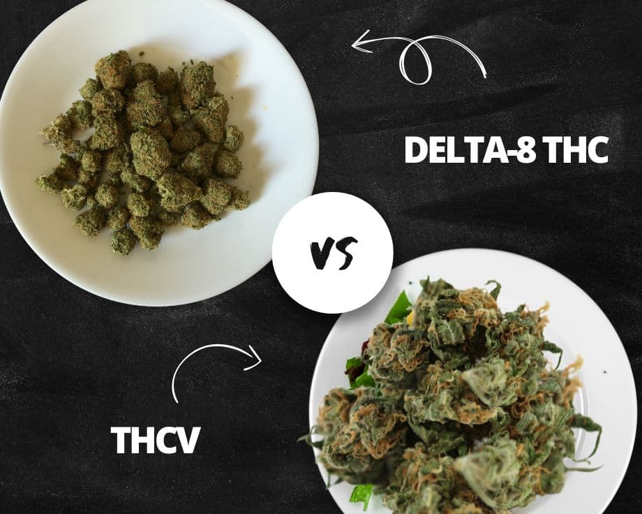 THCV vs. Delta-8 THC: What's the Difference?