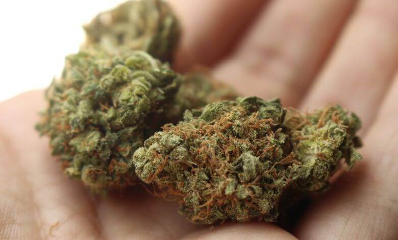Beginners Guide to HHC What Is This New Cannabinoid