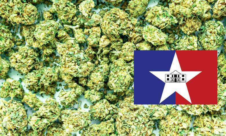 Where to Buy THCA Flower in San Antonio