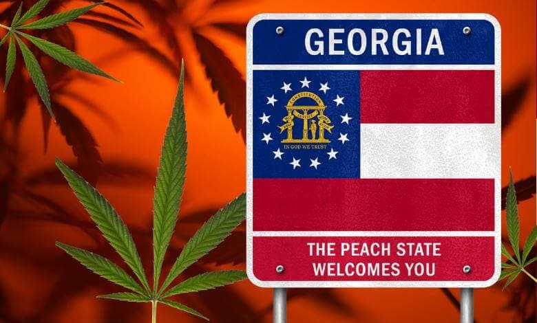 Georgias New Hemp Legislation: A Mixed Bag for Local Businesses