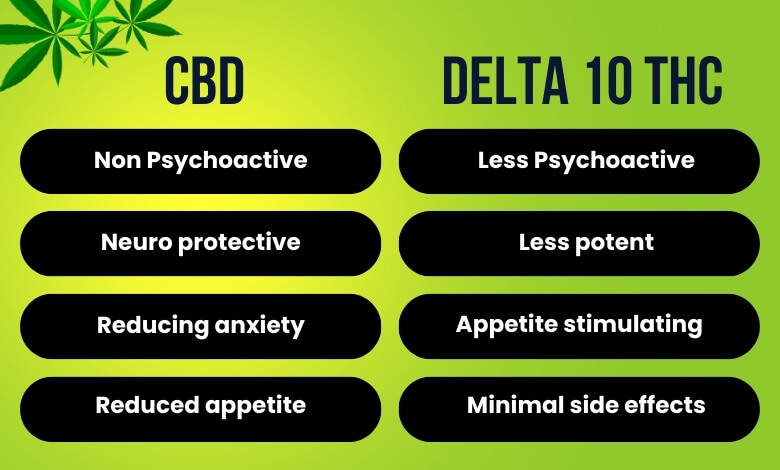 CBD vs Delta 10 THC