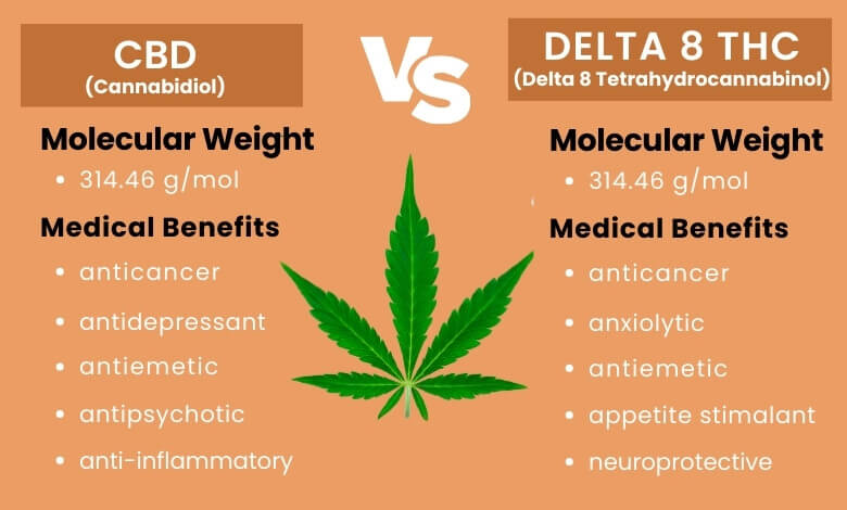 CBD vs. Delta-8 THC
