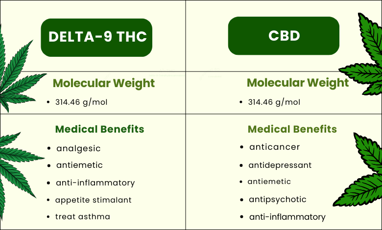 CBD vs. Delta-9 THC
