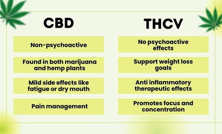 CBD vs. THC: What's the Difference
