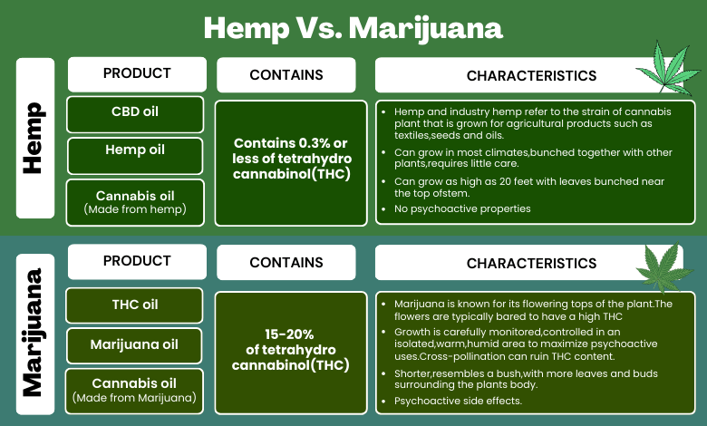 Hemp Vs. Marijuana: What's the Difference