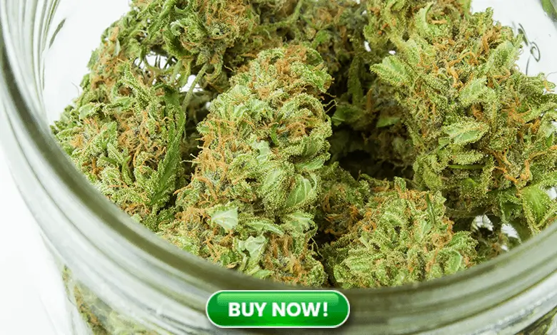 Hemp Flower in a Jar
