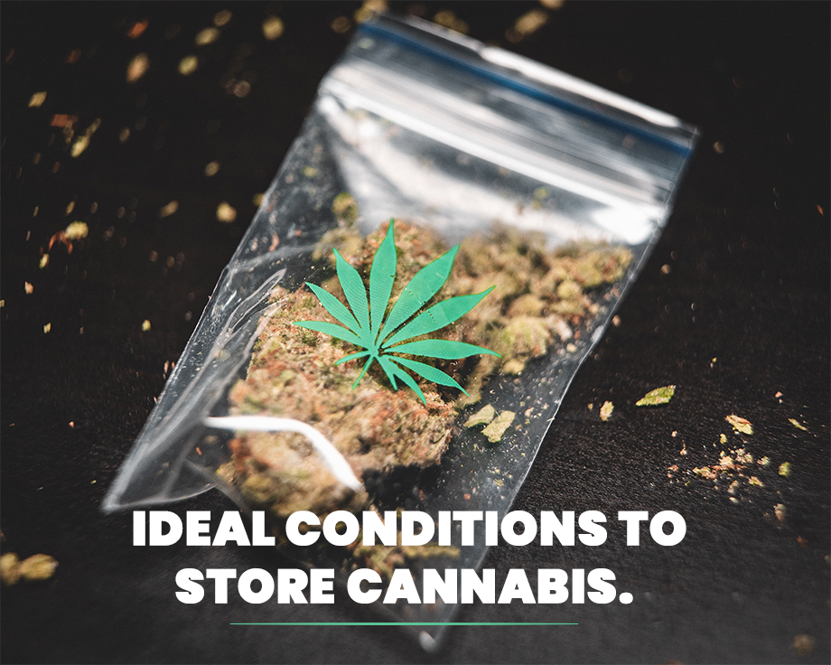 Ideal Conditions to Store Cannabis