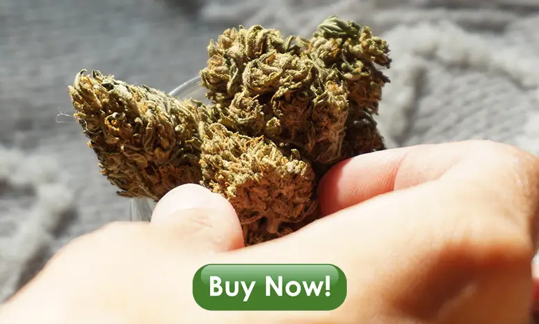 ATLRx CBD Flower in Hand