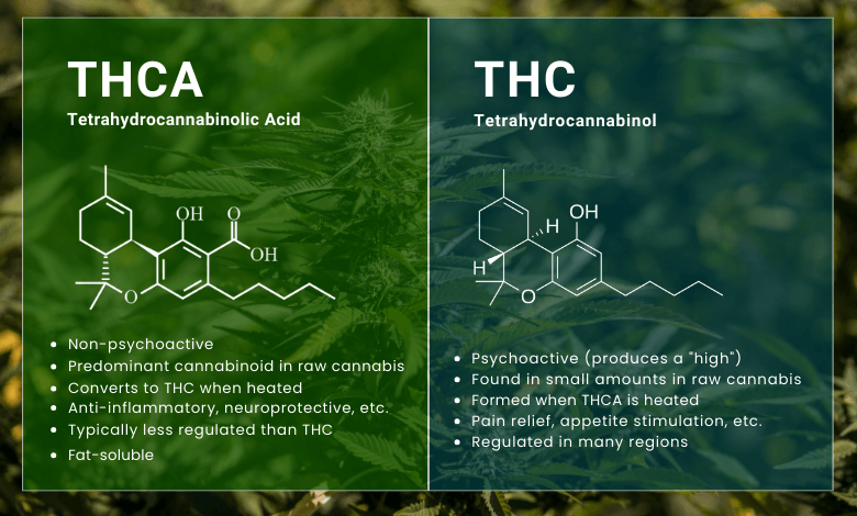 THCA vs THC: What Is The Difference?