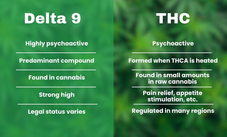 Delta 9 vs THC: What Is The Difference?