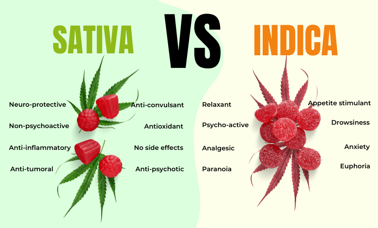 Sativa Vs Indica Edibles: What’s The Difference